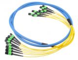 MPO/MTP Trunk Cable Assemblies